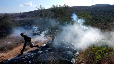 İsrailliler, ekim ayında Batı Şeria'daki Filistinli çiftçilere 482 saldırı düzenledi