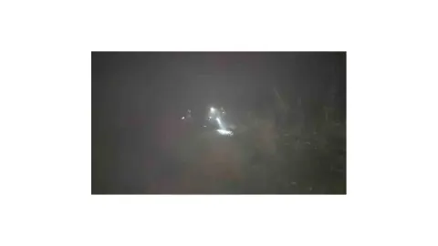 Karadeniz Ereğli'de mantar toplarken kaybolan 71 yaşındaki kadın ormanda bulundu