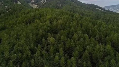 OGM 12 müfettiş yardımcısı alacak: Başvurular ne zaman, nasıl yapılacak?