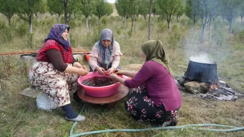 Sadece Kastamonu'da yetişiyor. Magnezyum, potasyum, demir deposuymuş
