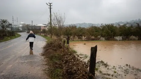 Selden etkilenen İstanbul, Sakarya ve Kocaeli'ye 2 bin kişilik "Toplum Yararına Program" kontenjanı tahsis edildi