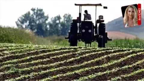 Tarımsal girdiler yüzde 30.28 arttı, maliyetler geleceği tehdit ediyor