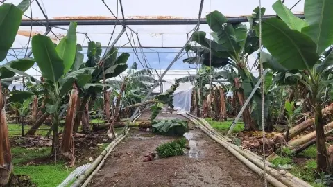 TARSİM'e 10 ayda 478 bin hasar ihbarı yapıldı