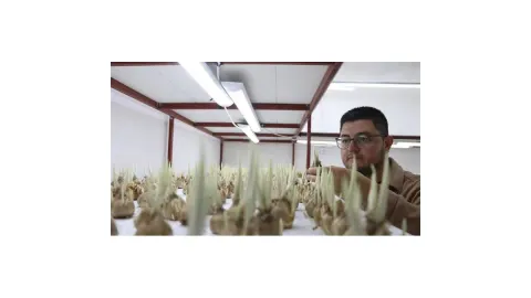 "Yetişmez" diyenlere inat başardı: Artık bir servetin sahibi!